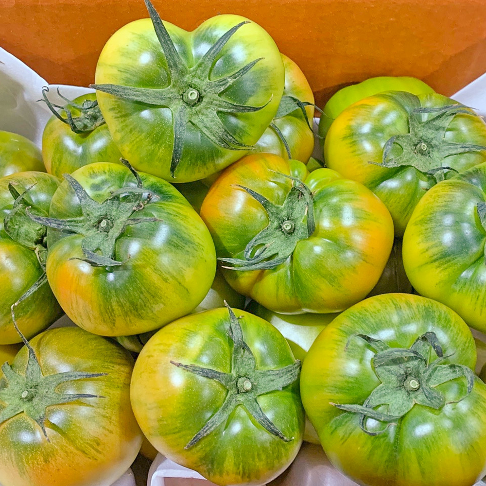 [재구매1등]허니삼구 단짠단짠 대저토마토 2.5KG내외 프리미엄 로얄과 대과, 1박스, 대저토마토(로얄과)2.5KG내외(3S-M) 25,800원