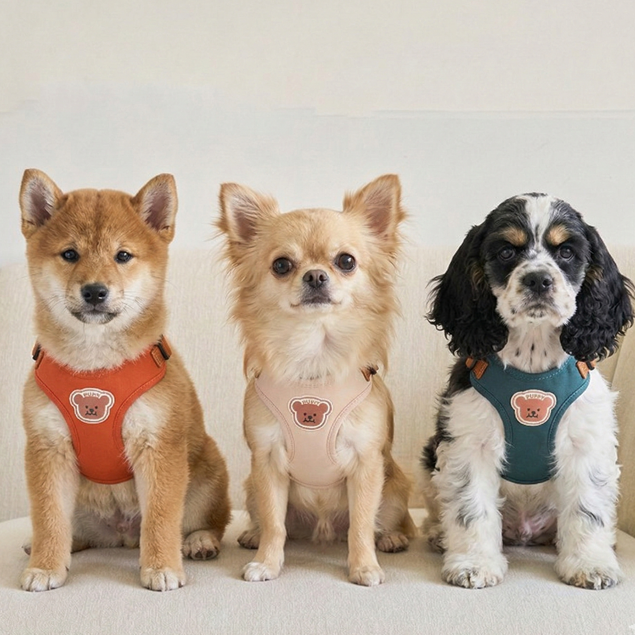 시즌홈 강아지 하네스 리드줄 세트 탈출방지 산책 가슴줄, 1개, 그린 7,000원