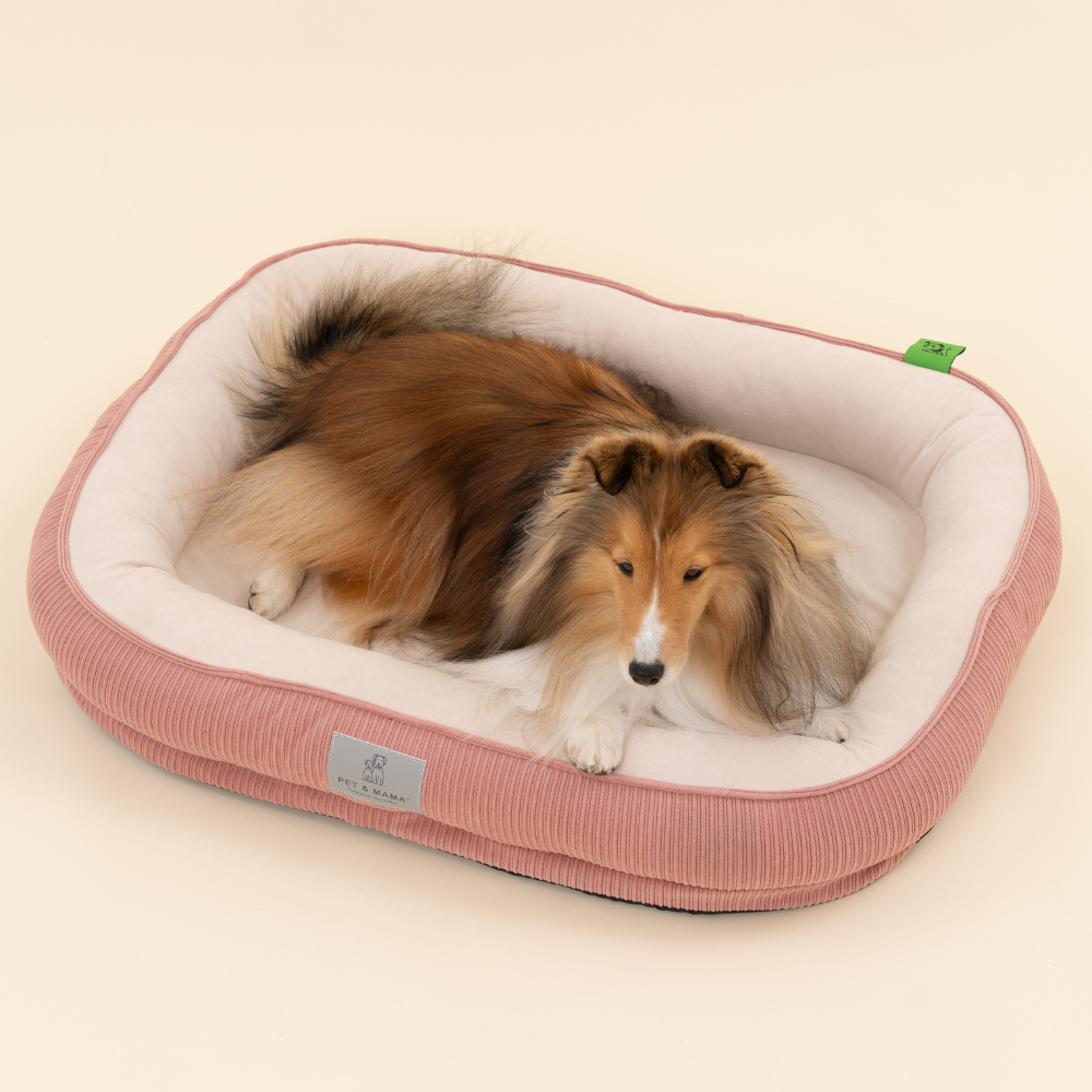 홀릭하임 슬개골 보호 강아지 폼 방석 노령견 극세사 쿠션 분리세탁, 1개, Rose브라운 24,900원