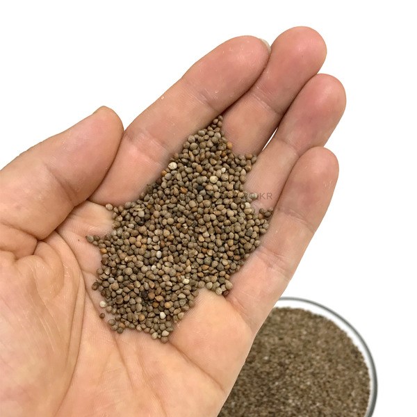 들깨 물세척 고온 소독 앵무새 개별 알곡 먹이 모이, 1개, 100g, 현재가 2,800원