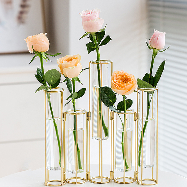 모리앤 이케바나 5구 실린더 화병, 투명 29,700원