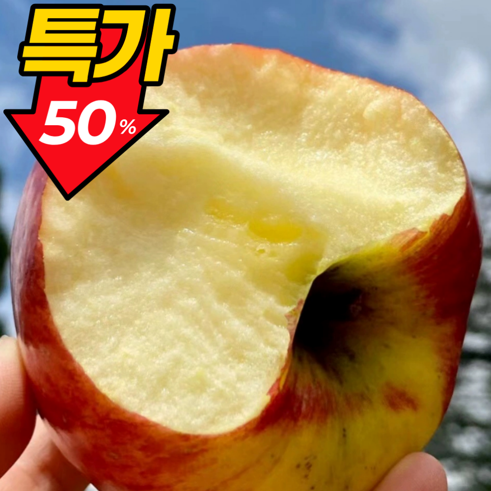 [마감초특가] 산지직송 고당도 못난이사과 100박스한정 16,900원