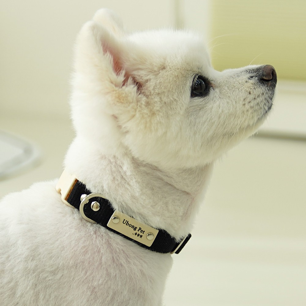 이름 무료 각인 순면 강아지 목줄 소형견 중형견 11,400원