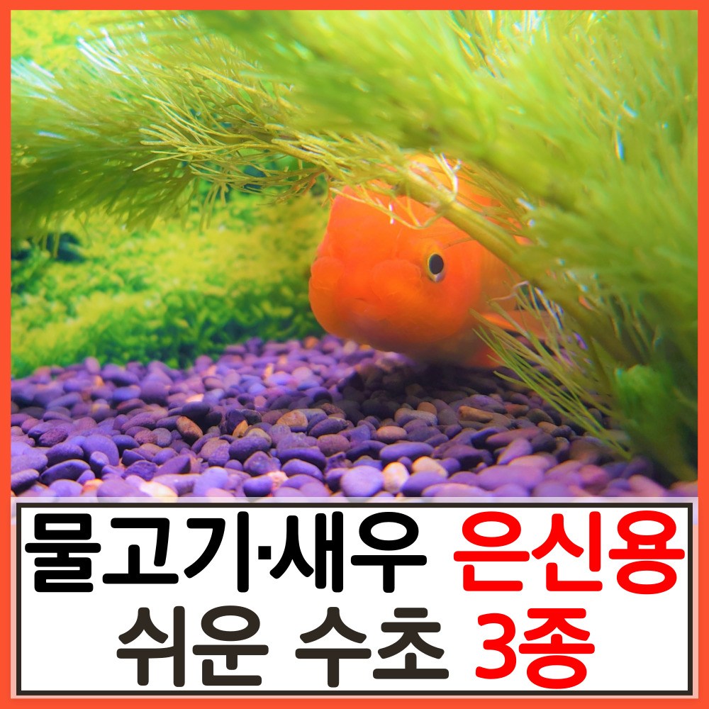 수초하우스) 물고기 새우 은신용 쉬운 수초 3종 세트 14,900원