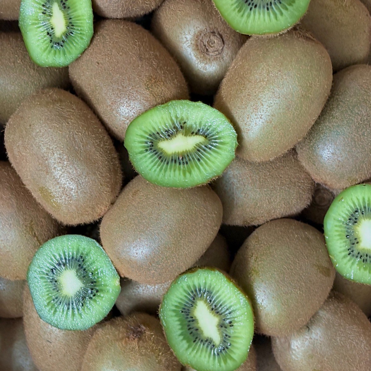 <가람> 제주산 신선한 그린키위/새콤달콤 참다래/프리미엄, 1박스, 5kg 소과 19,800원