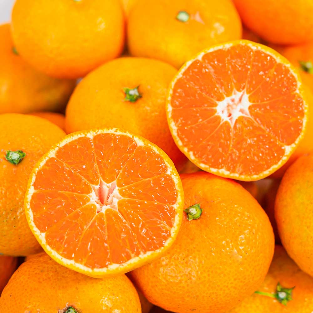 새콤달콤 제주 서귀포 노지감귤, 1박스, 10kg 로얄과(S-M) 76,900원