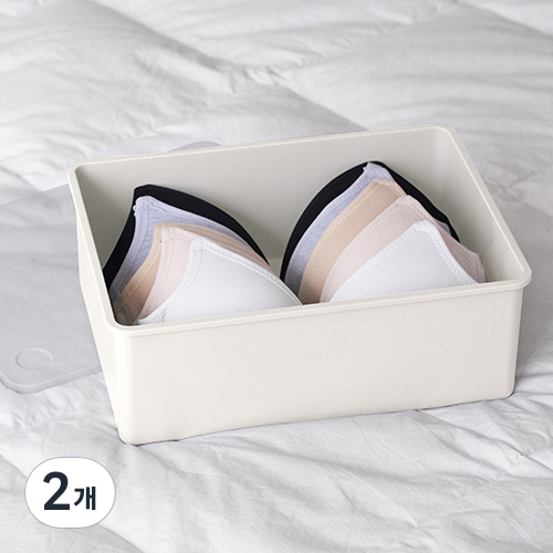 이즈리빙 칸칸칸 속옷 정리함 1칸 9,900원