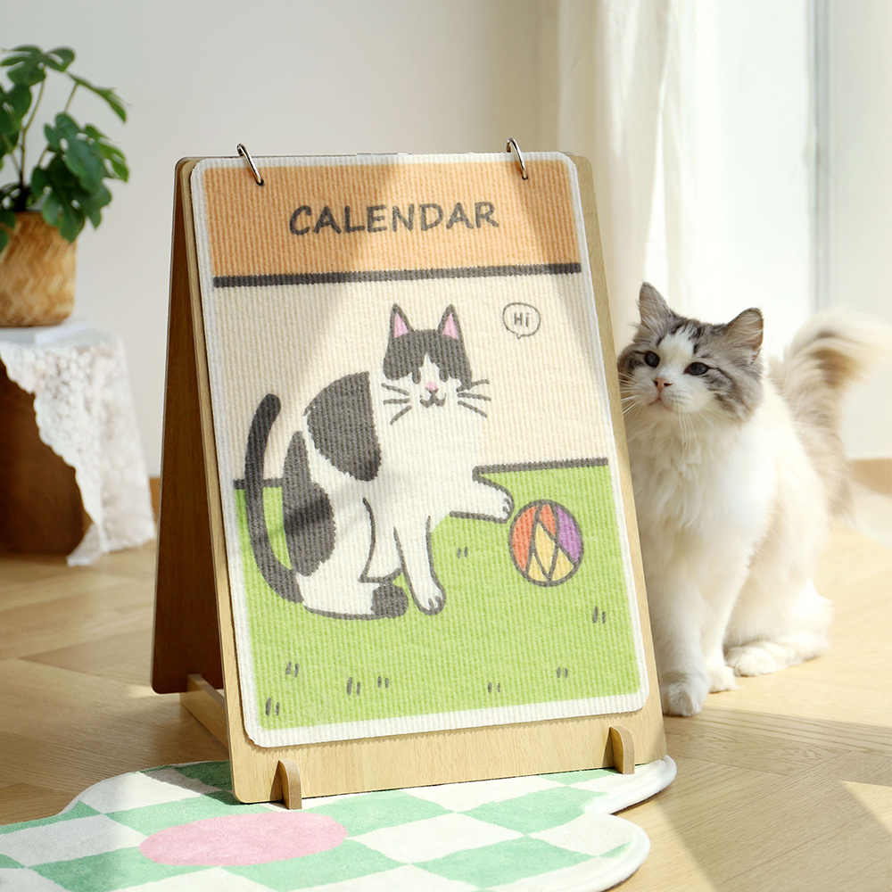 칠시 고양이 캘린더 스크래쳐, 혼합색상, 1개 23,900원