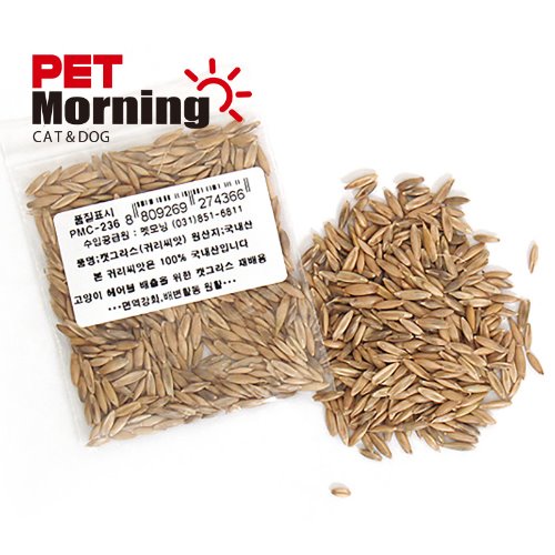 펫모닝 귀리씨앗 12g 국산귀리씨앗 캣그라스 캣, 귀리씨앗, 20개 11,890원
