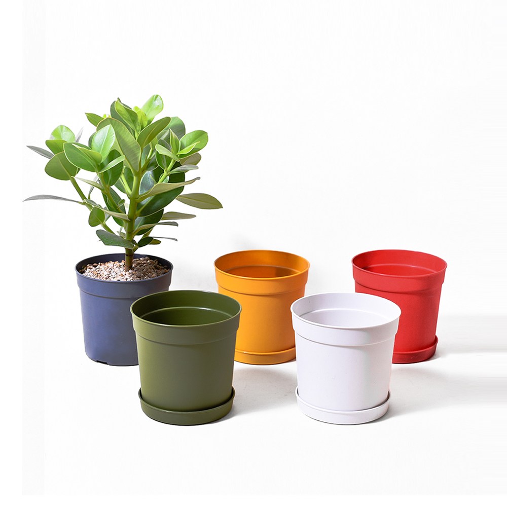 담따화분 플라스틱 소/중/대 가드닝화분 플분 다육이 분갈이 1,500원