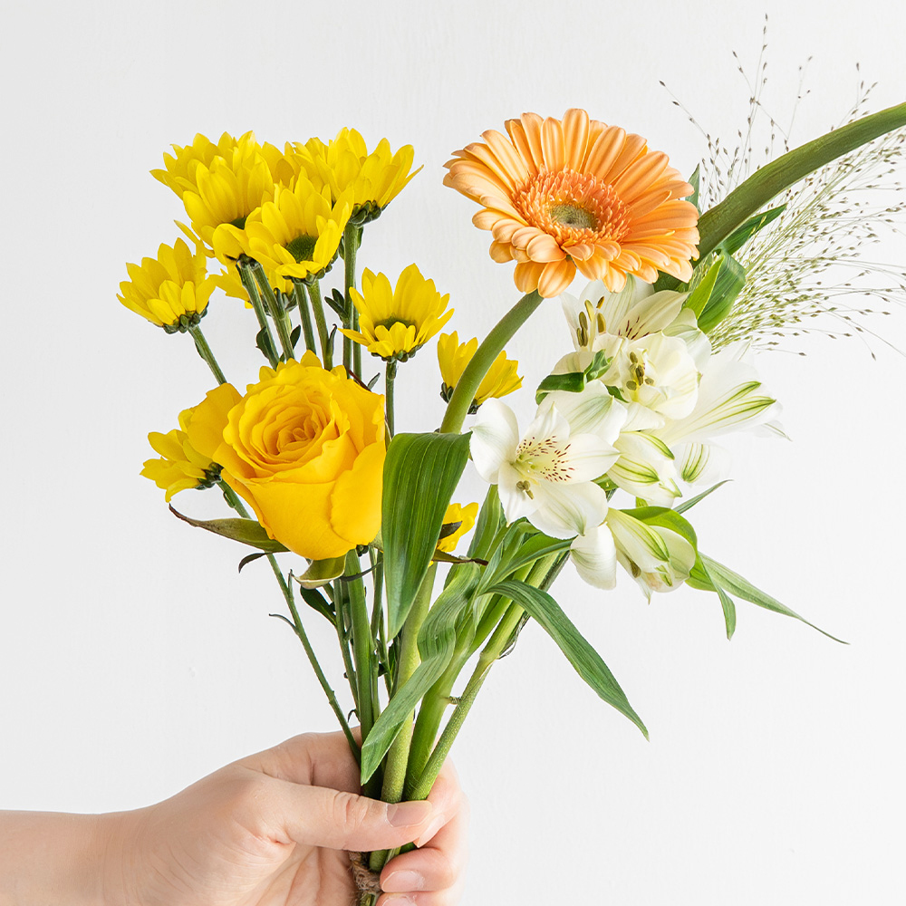 [로켓프레시] 코코도르팜 생화 절화 16,800원