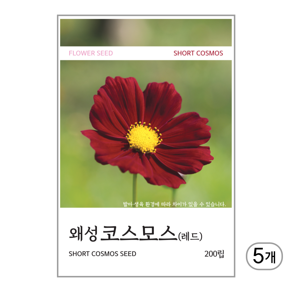 새싹바라기 왜성코스모스(레드) 씨앗 200립, 5개 9,700원