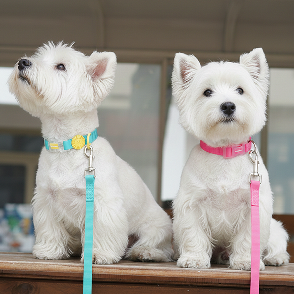 리치독스 강아지 산책줄 방수 목줄 리드줄세트 2.1M, 1세트, 스모크 그레이 28,900원