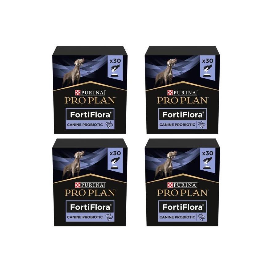 Purina FortiFlora 퓨리나 프로플랜 포티플로라 새끼 강아지 반려견 유산균 영양제 30g 4개 유럽내수용 241,400원