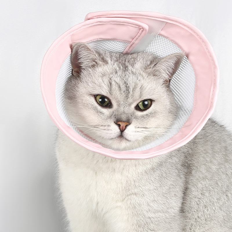 랜보어 반려동물 소프트 메쉬 넥카라 9,740원