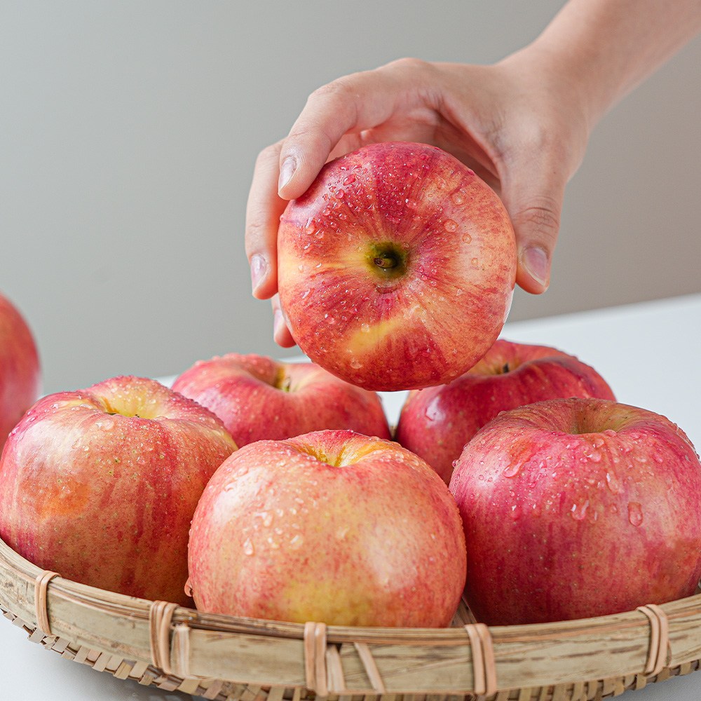 경북 사과 (부사) 산지직송 꿀사과 로얄과 가정용 햇사과, 1박스, 5kg 로얄과(14-18과) 85,000원
