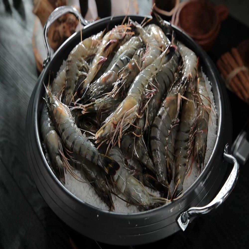 모조나인 캠핑,선물용 킹 블랙타이거 새우, 4박스, 500g(8미) 72,900원