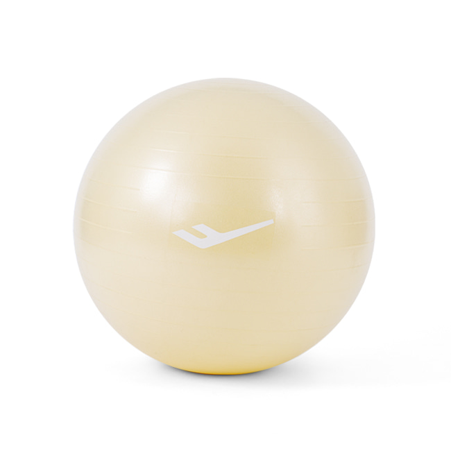 프로스펙스 안티버스트 짐볼 55cm 펌프포함 16,300원