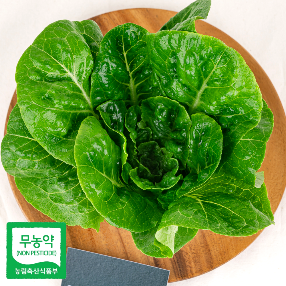 [무농약 미니로메인] 로메인 통로메인 유럽상추 유러피안샐러드 샐러드야채 샐러드채소 쌈채소 샐리의식탁, 1kg, 1개 10,900원