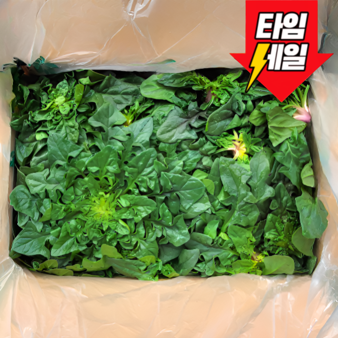 [전국최저특가] 남해직송 시원달큰 남해 시금치 보물초 섬초 12,990원