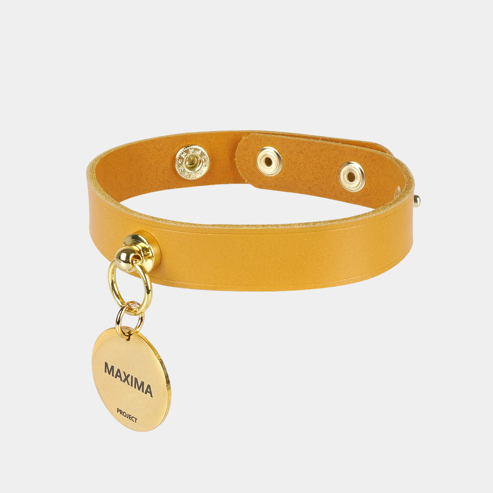 MX PET 베지터블 가죽 초커 목걸이 338X MUSTARD 강아지 고양이, 1개, 머스타드/골드 35,900원