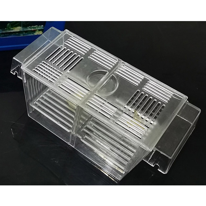 얼라이프 어항 수족관 미니 부화통 격리통, 1개, 1개 12,200원