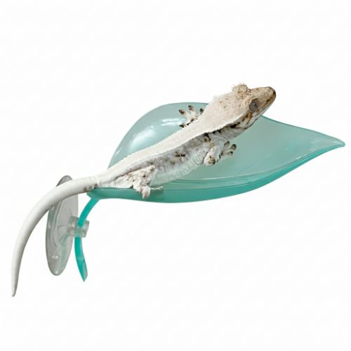 미니포레 나뭇잎 백업 크레 용품 도마뱀 사육장 꾸미기, 1개, 클리어블루 5,500원