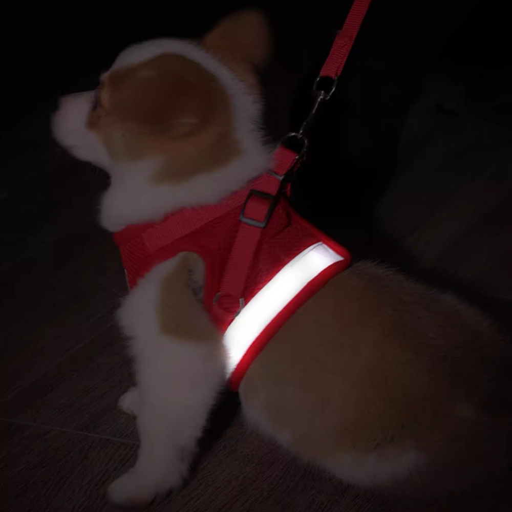 미누즈 야간 빛 반사 하네스 리드줄 세트 13,800원