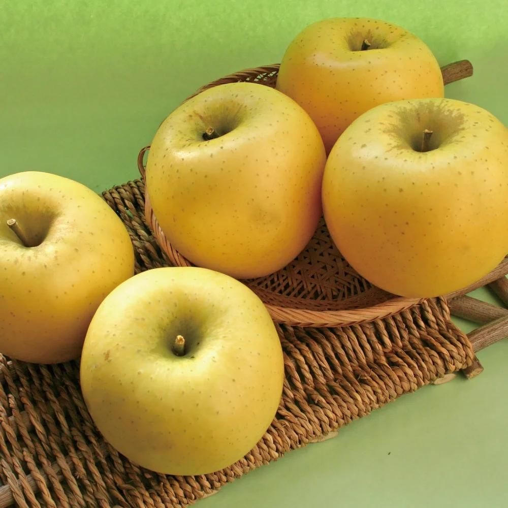 씹을수록 향미터지는 고당도 시나노골드 사과 40,800원