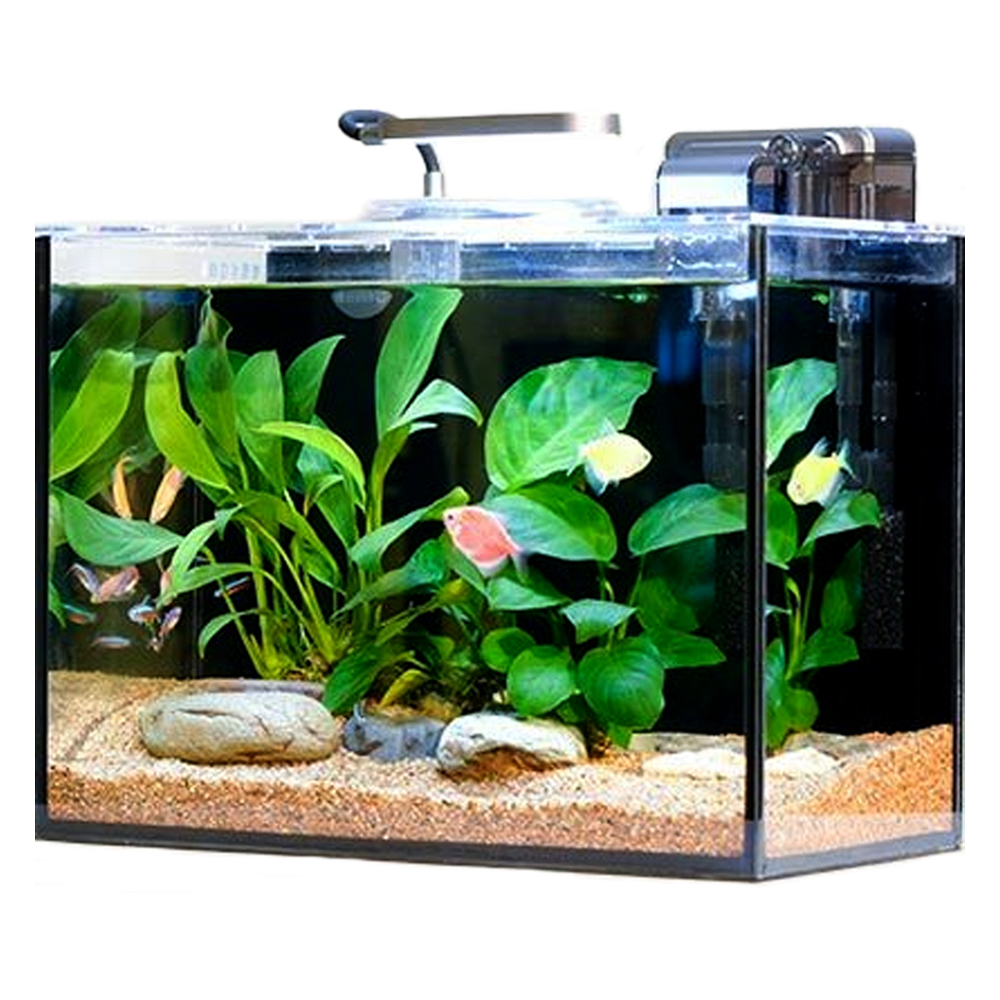 아쿠아렉스 COB LED 조명 여과기 일체형 올디아망 어항 세트 F형 56,000원