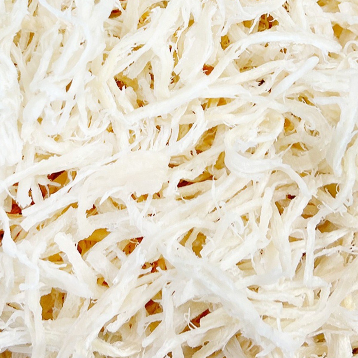 오발 부드럽고 쫀득한 일미 국산 진미 백진미 1kg, 1kg, 1개 100,000원