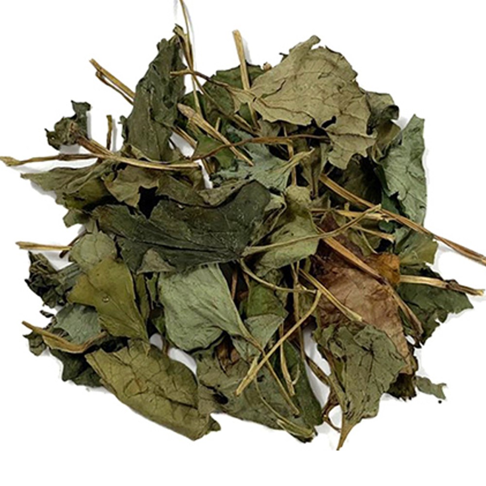 어성초(국내산 3kg), 3kg, 1개 110,700원