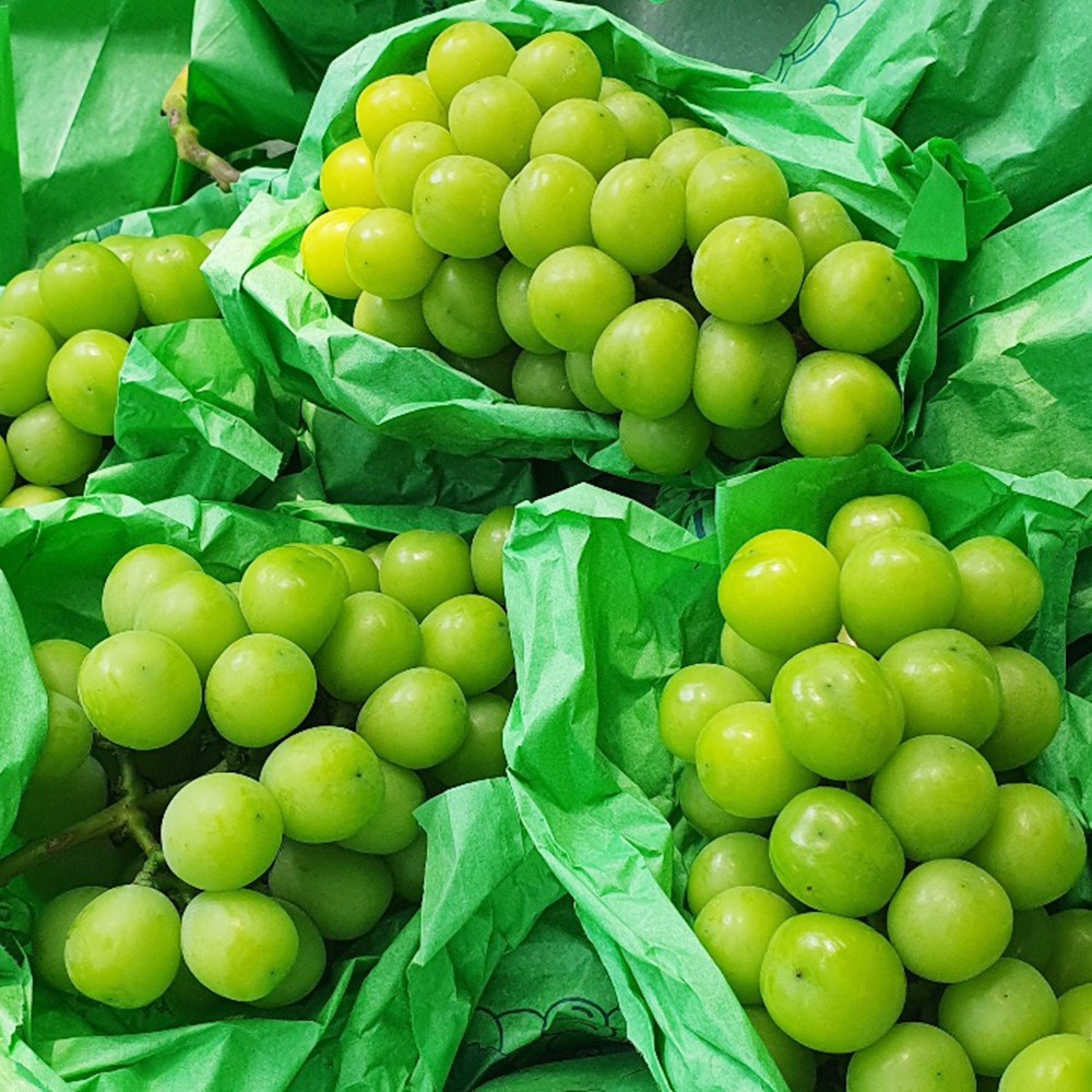 당도보장 고당도 특품 산지직송 샤인머스켓 1kg x 1수내외 16,300원