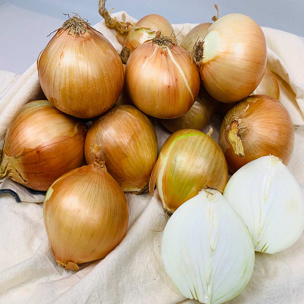 농부곳간 국내산 햇 무안 양파 속이 단단한 양파 12,900원