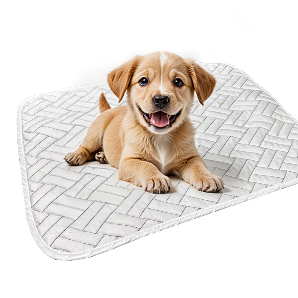 강아지 쿨매트 반려견 애견 여름 방석 대형견 중형견 소형견 쿨방석 (6 size), 화이트 (오블리), 1개 74,800원