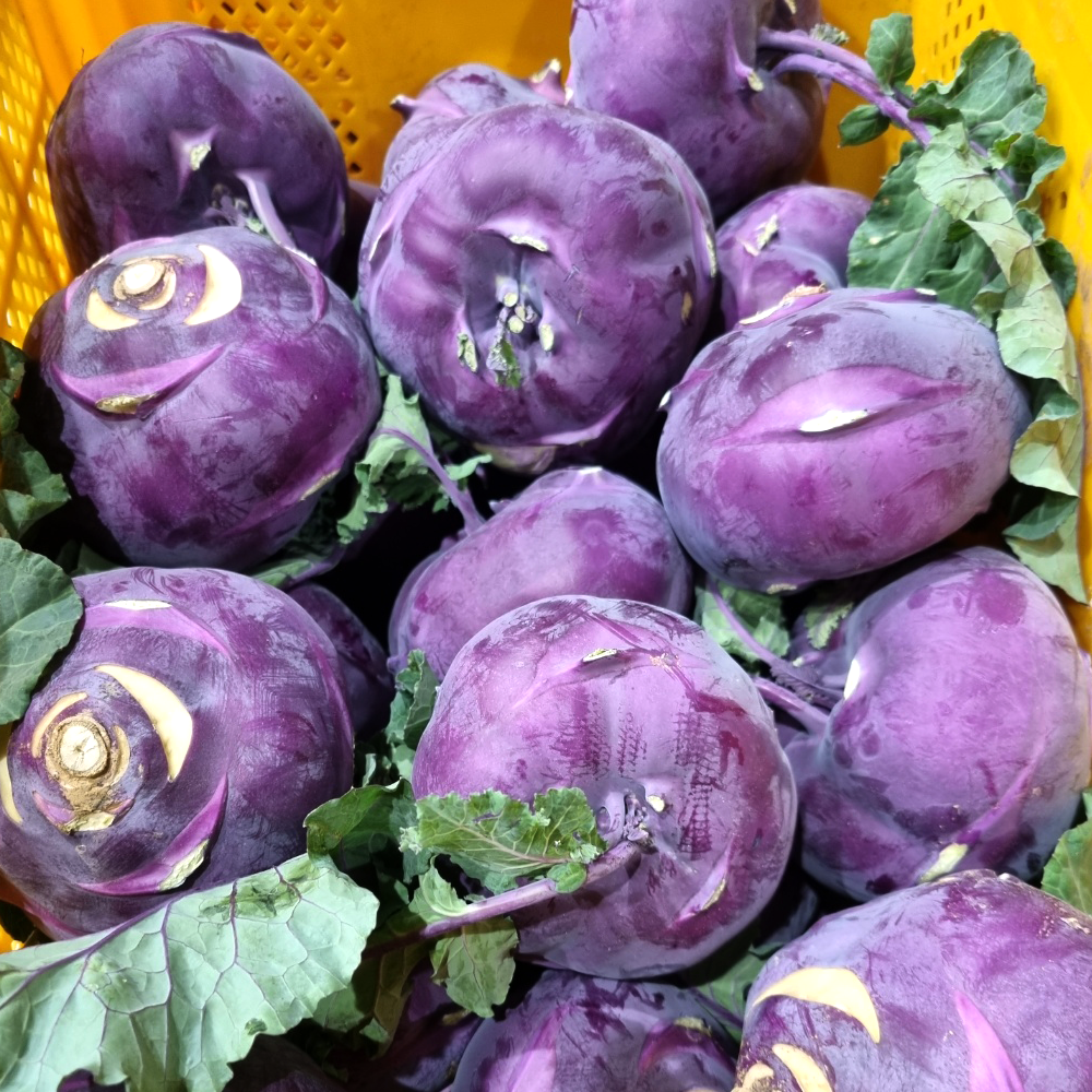 제주도 산지직송 제철 적색 콜라비 3kg 5kg, 1박스, 못난이 5kg(혼합) 18,500원