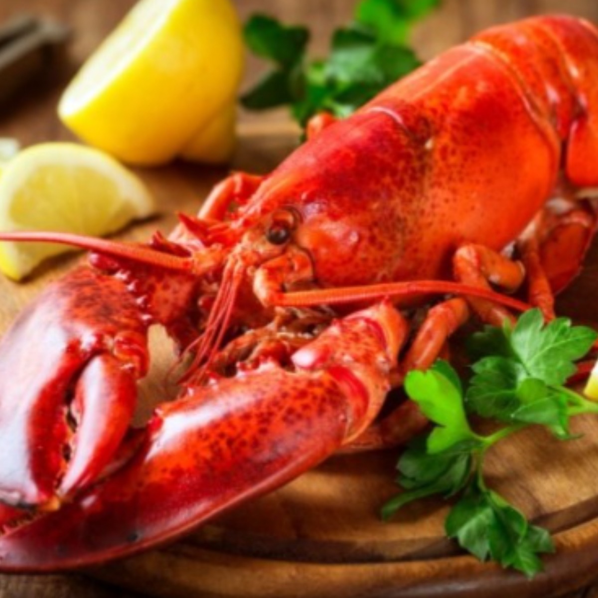 동아씨푸드 캐나다산 자숙 랍스터 350-400g 10미 150,000원