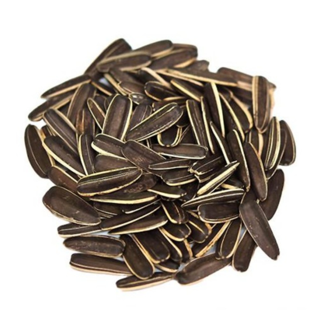 [당일배송] 세척 볶음 왕 해바라기씨 대형 해씨 햄스터 앵무새 간식 10,490원