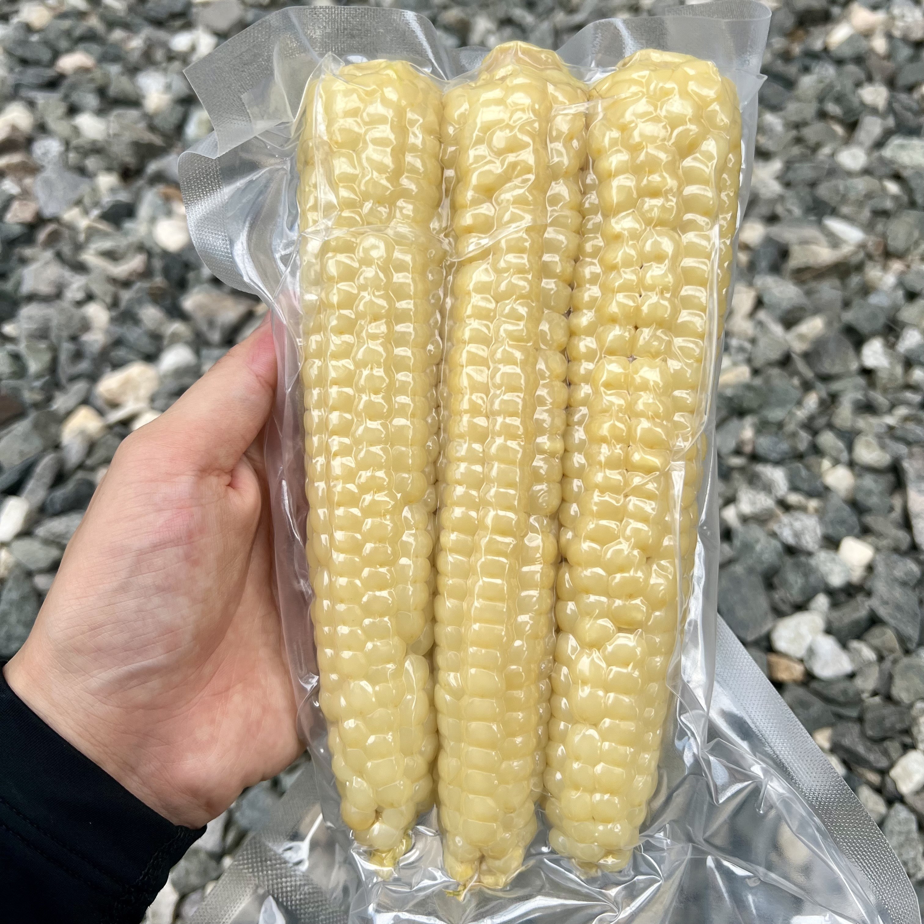 25년 햇 국내산 100% 괴산 대학 찰옥수수 미백 찐 삶은 냉동 옥수수  15cm이상, 1박스 41,890원