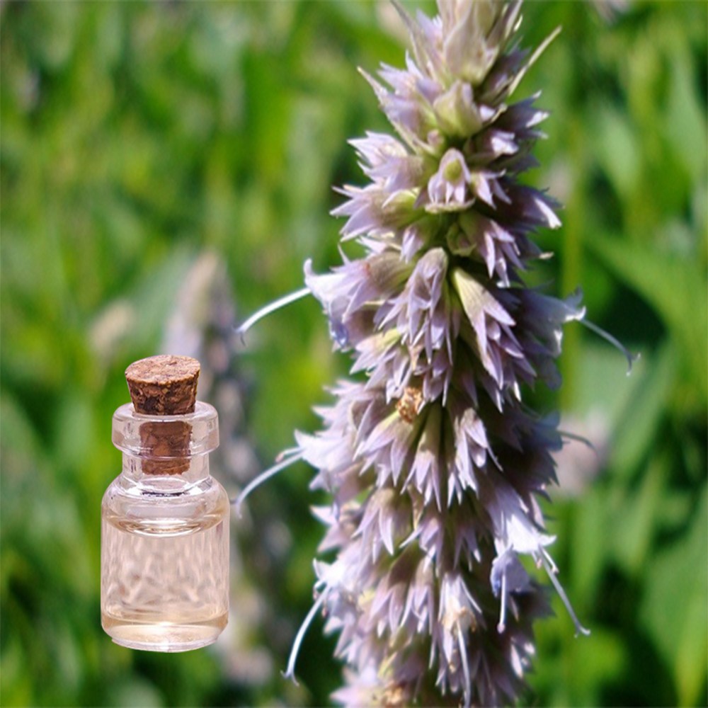 나스카코리아 오가닉 패츌리 에센셜오일 10ml 100ml 1L, 1개 19,000원