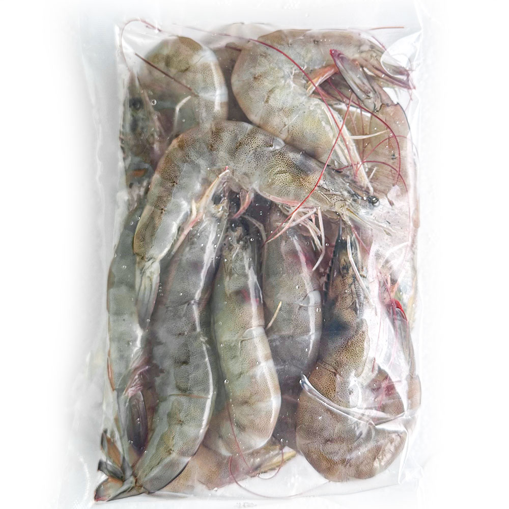 [파시] 국내산 탱글탱글한 신선급냉 흰다리새우 냉동새우 500g (14미 내외), 1개, 500g 18,600원