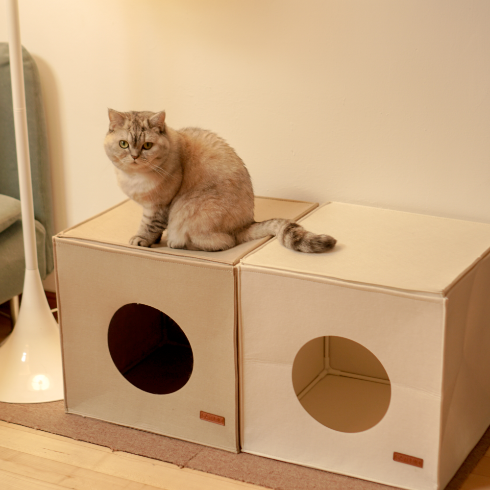 캣튜디오 고양이 숨숨집 펠트 하우스 강아지 집 큐브치즈, 1개, 라이트그레이 23,600원