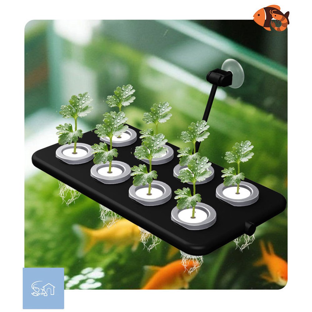 수경재배 화분 바구니 어항 화분 수초 홀더 트레이 어항 수경재배 키트, 1세트 12,800원