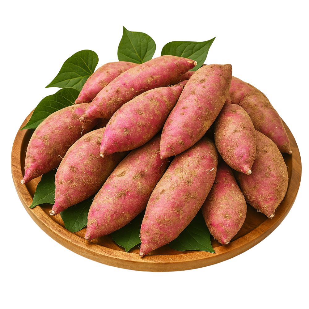 [재구매율1위] 해남 호박 고구마 초고당도 호풍미 황토밭 꿀고구마 산지직송 디아머스 16,150원