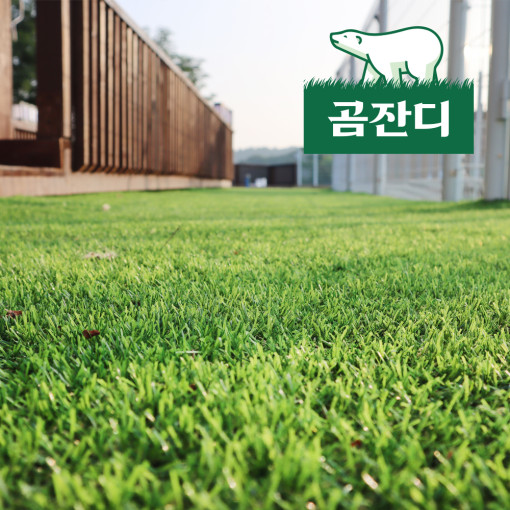 곰잔디 인조잔디 베란다 정원 옥상 마당 테라스 셀프시공 조경 매트 발코니 야외 실내 인테리어 80,000원