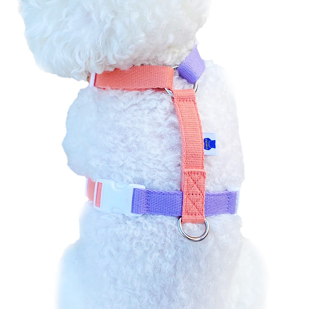 콕펫 강아지 H 하네스 앞섬방지 가슴줄 12,900원