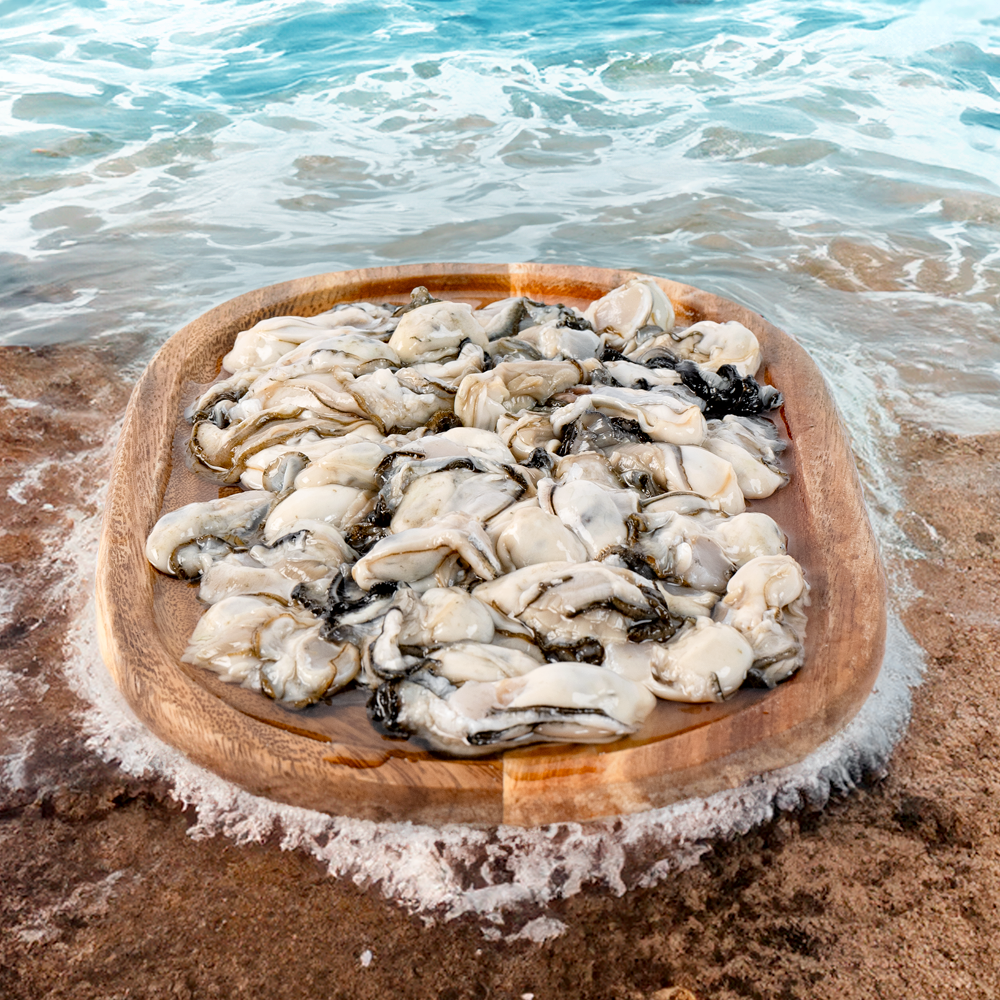 통영 굴 제철 최상급 깐굴 생굴 1kg, 1개 53,000원