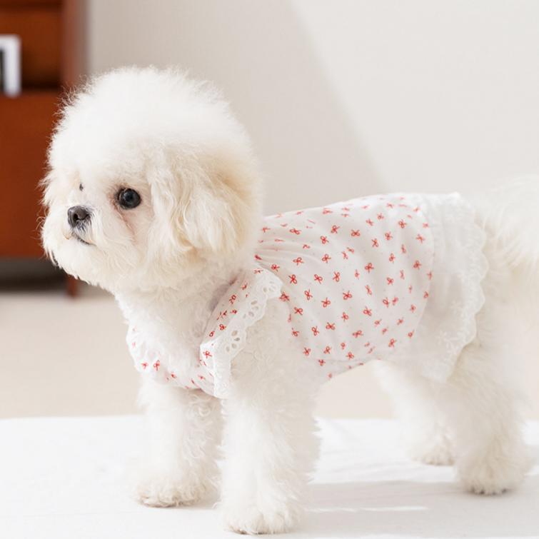 Coablu 강아지 고양이 플라워 리본 민소매 원피스 봄여름 얇은 통기성, 1개, 흰색 16,930원