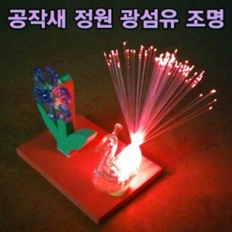 공작새 정원 광섬유 조명 만들기 2,500원