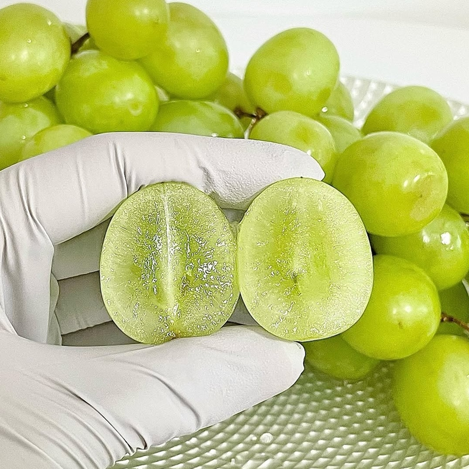 한정특가 당도보장 씨없는 애플청포도 오톰크리스피, 1박스, 1kg 24,900원